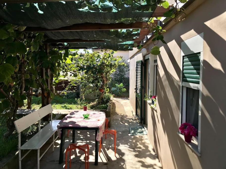 Garden Cozy Apartment Zadar Exteriér fotografie
